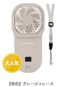 Aタイプグレージュレース